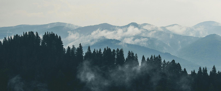 六台联盟免费资料